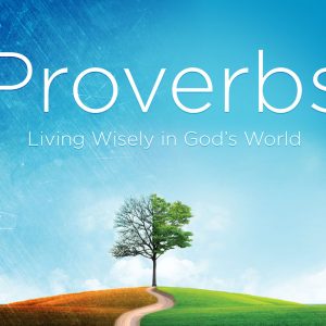 Seeking Wisdom Together, Proverbs 28-29