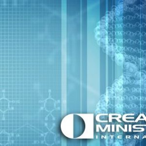 Creation Conference, Sunday Feb. 21st, 9:30-12pm